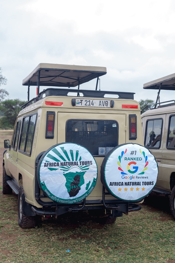 Office Location: Arusha - Tanzania