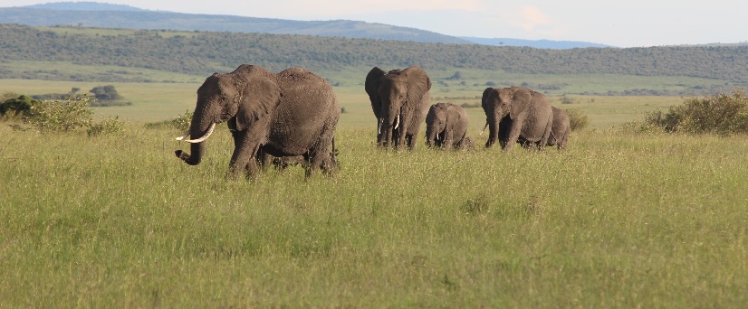 Best 2 days Tanzania sharing safari
