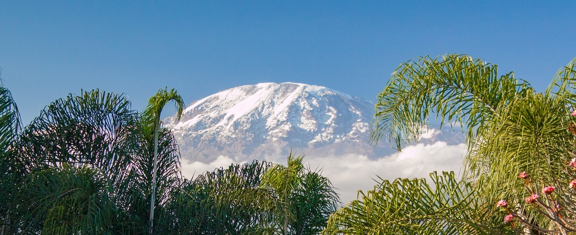 7 days Lemosho route Kilimanjaro hiking tour itinerary and price for 2024, 2025, and 2026