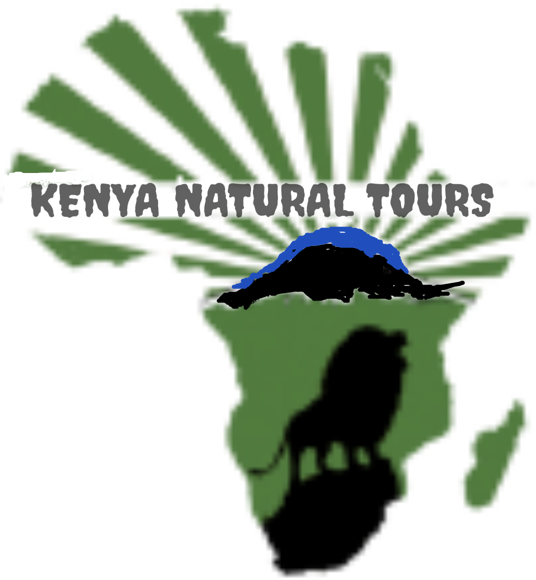 Kenya Natural Tours