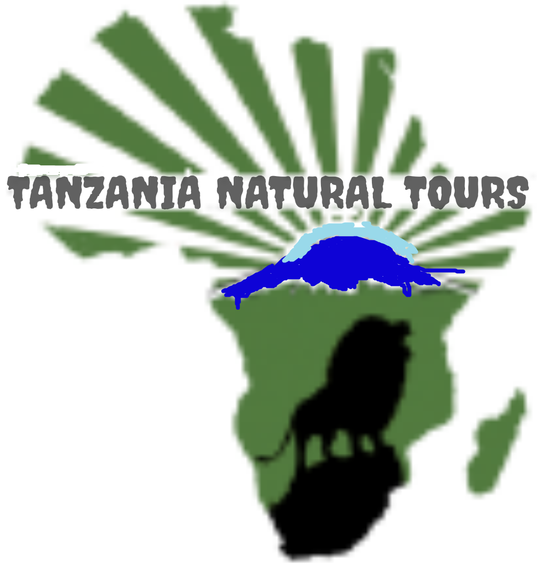 Tanzania Natural Tours