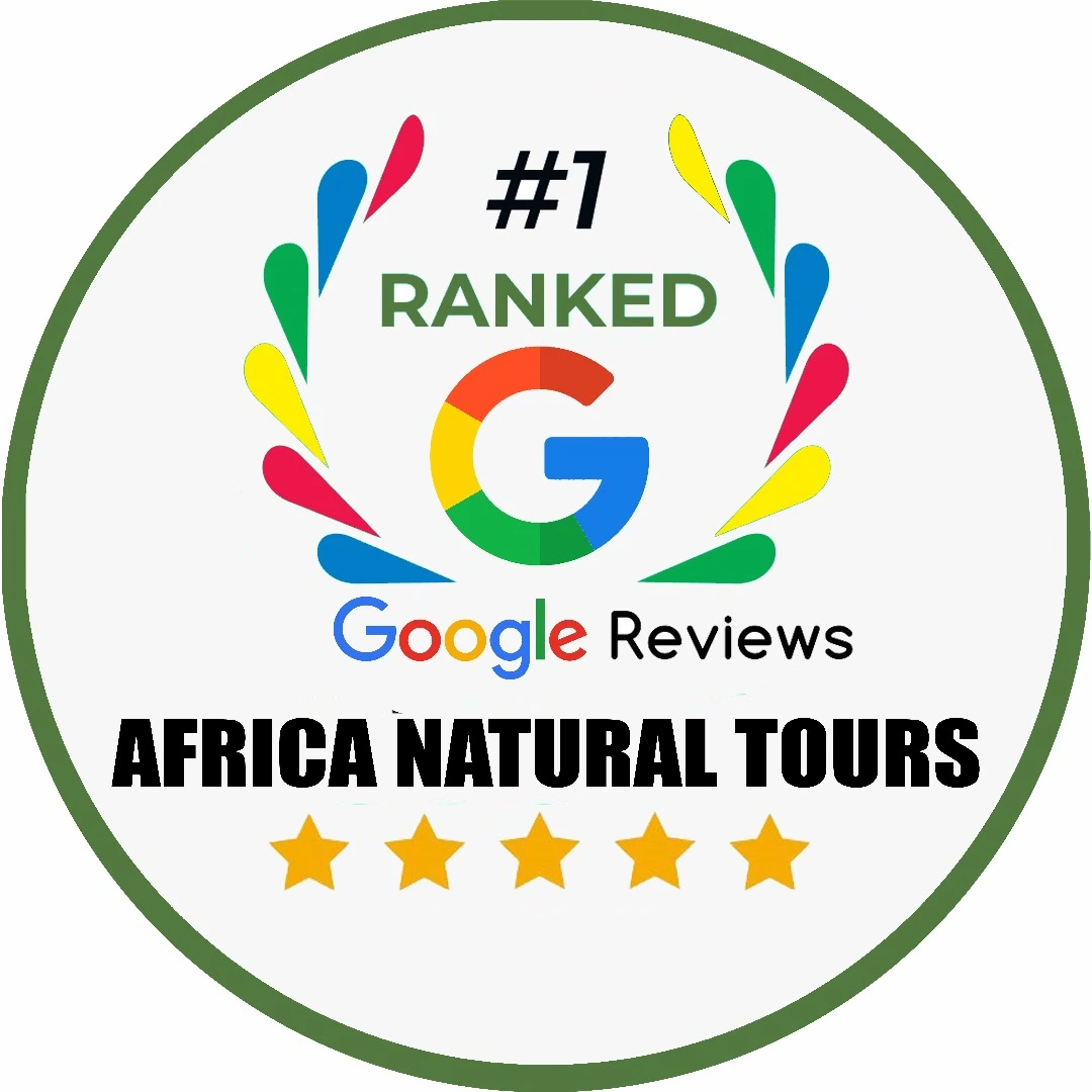 Google 5-Star Reviews