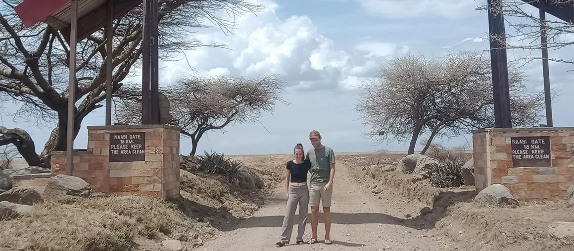 African safari wildlife experience