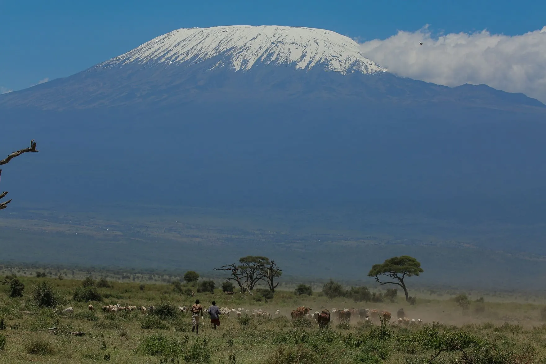 Amboseli romantic safari packages