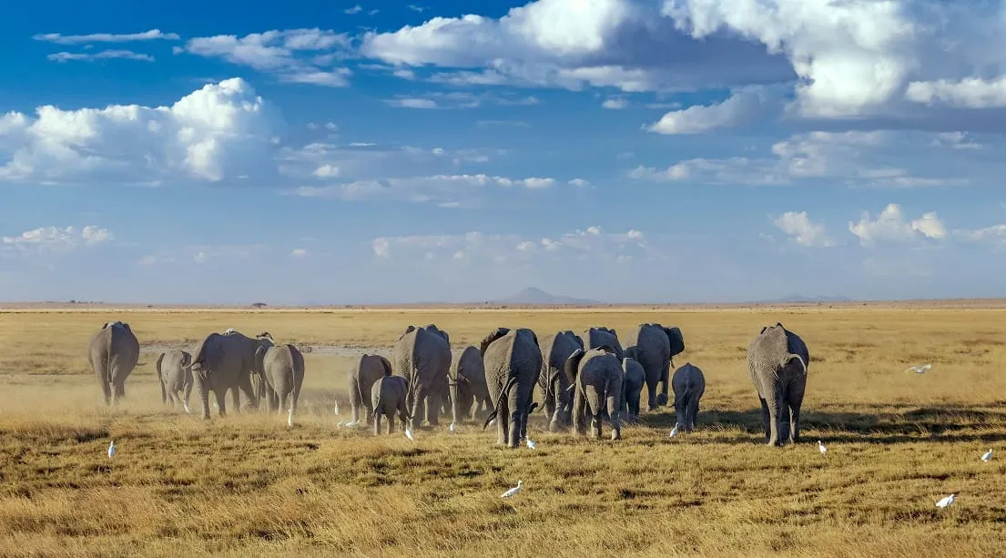 Kenya romantic tour destinations for African safari packages