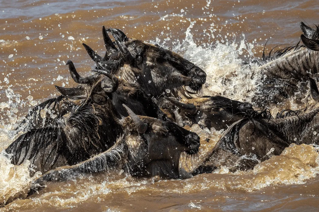 Serengeti National Park romantic safari attraction