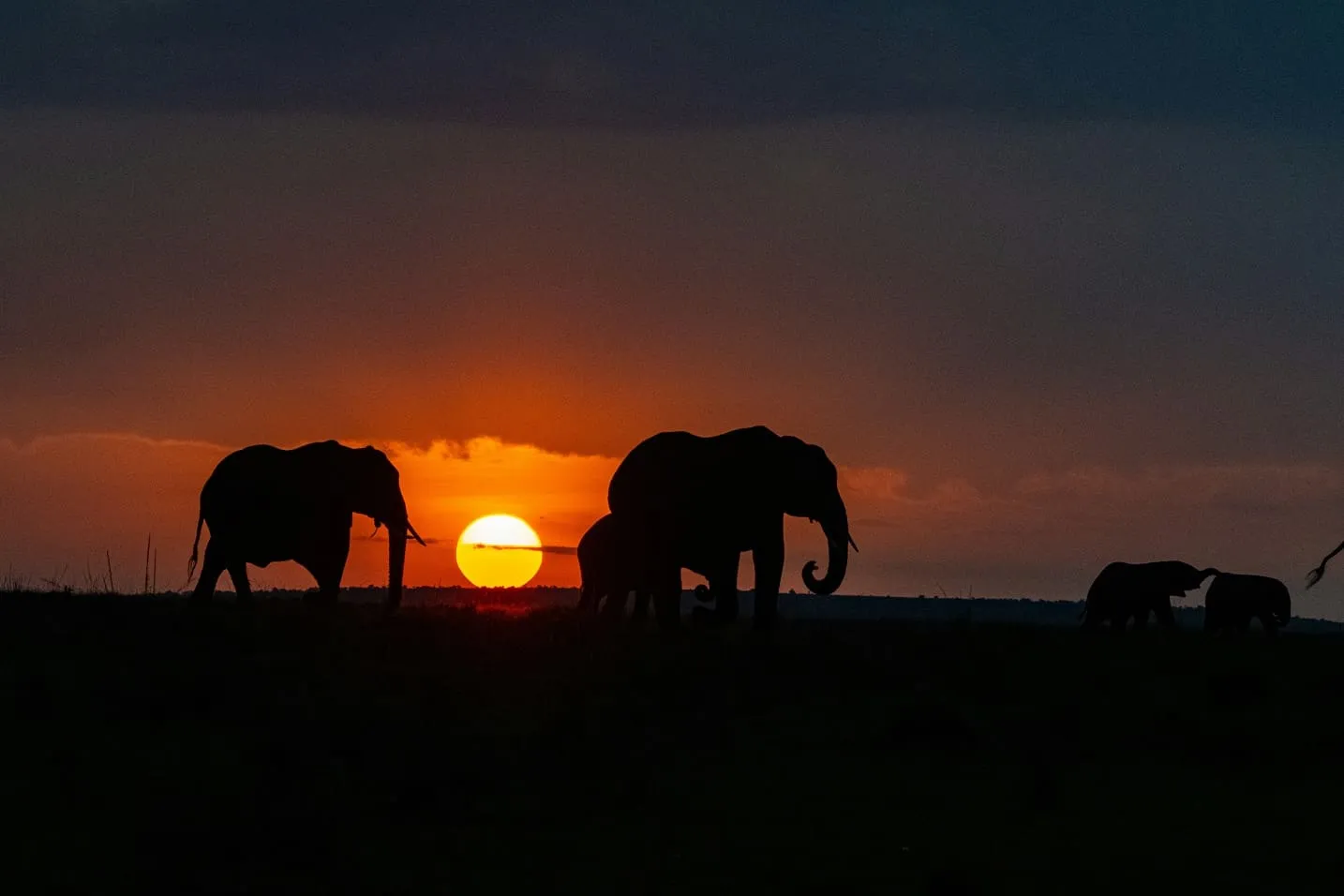 Tanzania romantic safari destination in Serengeti National Park
