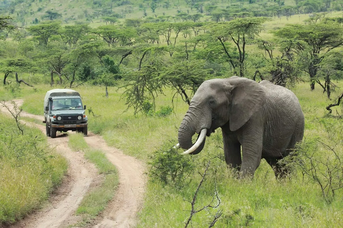Tarangire National Park romantic safari attraction