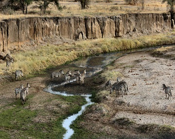 Tarangire National Park Safari from Moshi Tarangire Safari from Moshi
