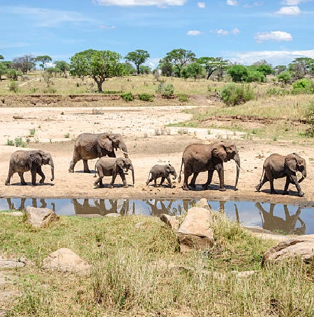 10 days Tanzania safari and Zanzibar beach itinerary holiday package for 2024, 2025, and 2026