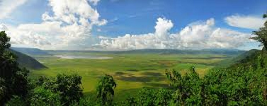 Superb 2-day Tanzania Luxury Safari Package 2025/2026 
