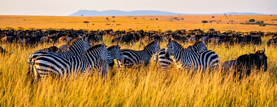 2 days Tanzania safari holiday trips to Tarangire and Ngorongoro Crater