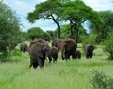 Most Famous Tours From Moshi