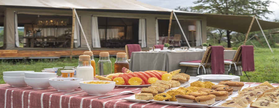 Best 3-Day Tanzania Luxury Safari Package 2025/2026 
