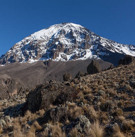 3 Days Kilimanjaro Hiking Package: From Marangu Gate to Horombo hut