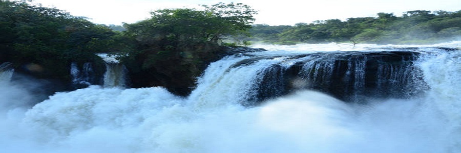 3 days Uganda safari to Murchison falls and wildlife