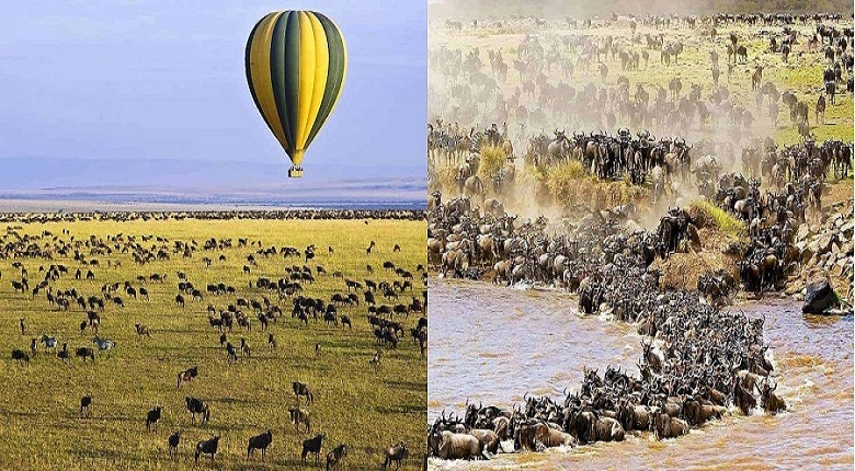 2025/2026  Best 5 Days Tanzania Safari Package from Mwanza