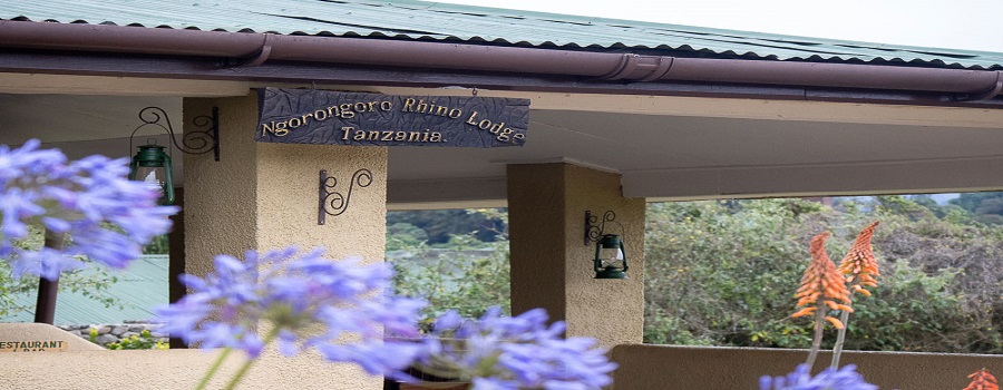 5-Day Best Tanzania Lodge Safari 2024 – 2025