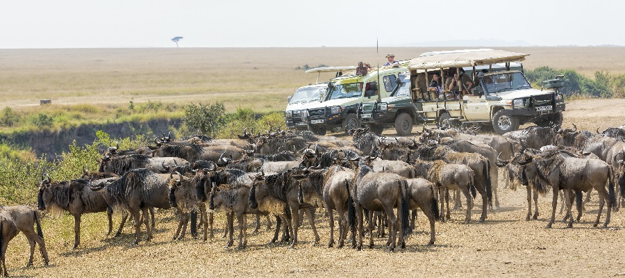5 days Masai Mara safari tour package