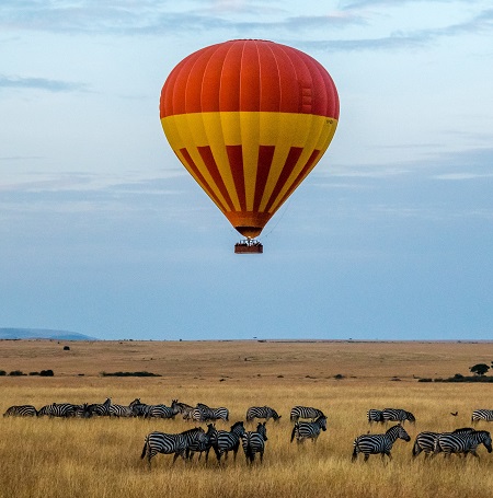 The best 5 days Masai Mara safari tour for 2024, 2025, and 2026