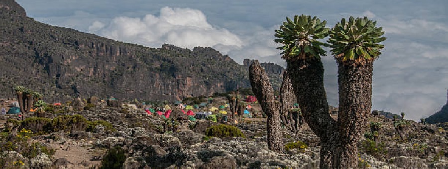 Machame route Kilimanjaro climbing during the summer months