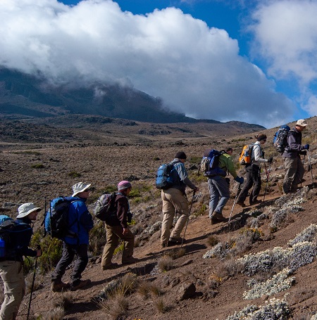 8 days Kilimanjaro climb: Lemosho route prices and success rate for 2024, 2025, and 2026