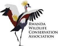 Rwanda Wildlife Conservation Association