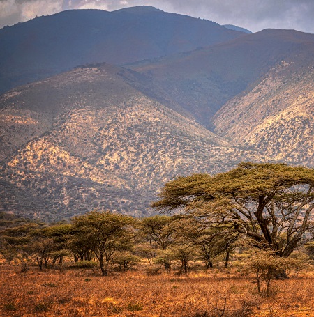 The African Ngorongoro Crater and its interesting facts