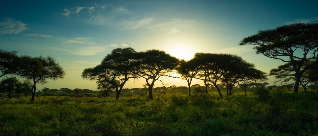 April 2026: Kenya Safari Trips Group Joining Scheduled Departure Dates & Prices
