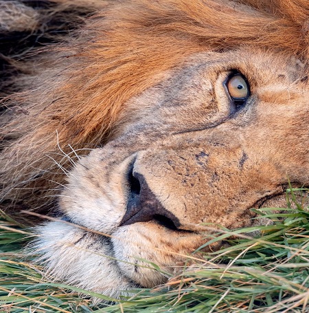 April 2026: Kenya Safari Adventure Group Joining Scheduled Departure Dates & Prices