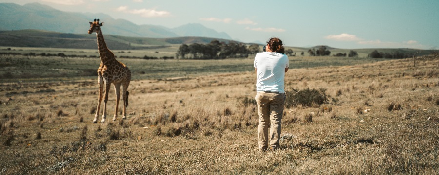 Best African photo safari tours in Tanzania 2, 3, 4, and 5 days to Tarangire, Ngorongoro, Serengeti, and Manyara