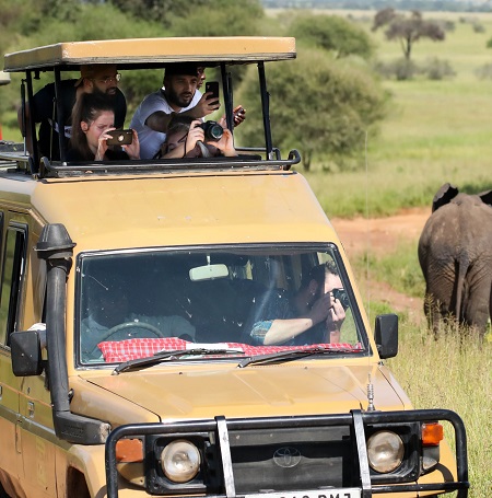 4 days Tanzania safari: luxury, mid-range, and budget