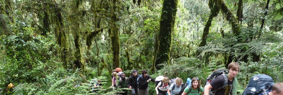 Trekking Kilimajaro five days Marangu route | Best Guides
