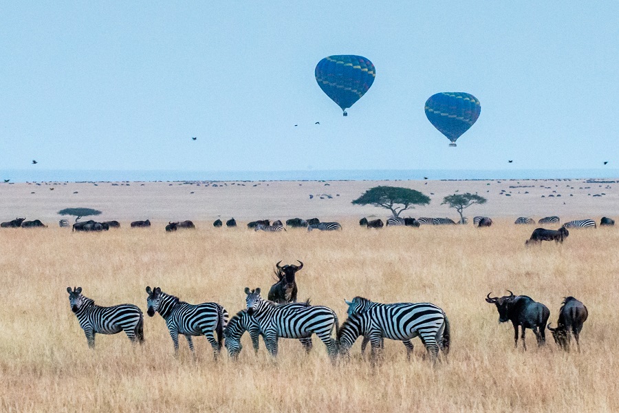 Best 4 Days Serengeti Safari: Hot Air Balloon Voyage Tanzania - Africa