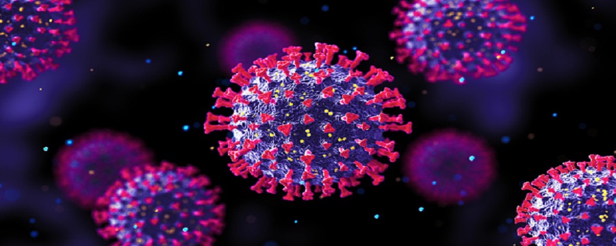 Covod-19 in Tanzania safari tours & kilimanjaro climb tourism