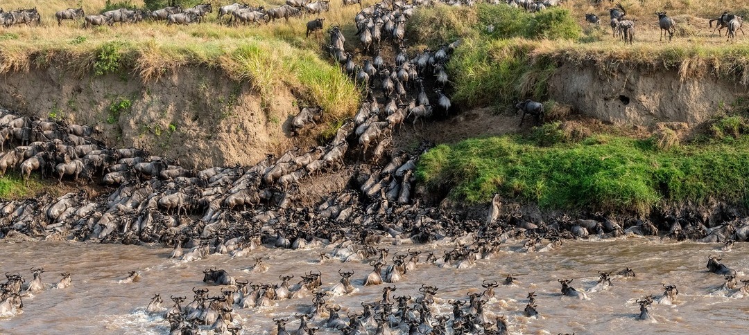 December 2025: Kenya Safari trip Holiday Group Joining Scheduled Departure Dates & Prices
