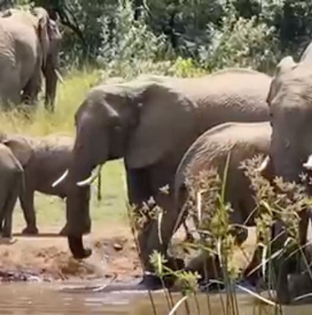 December 2025: Masai Mara Safari, Kenya Group Joining Tours, Departure Dates, and Prices