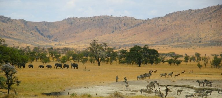 February 2026: Kenya Safari trip Holiday Group Joining Scheduled Departure Dates & Prices