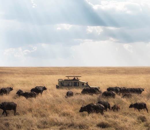 Lake Manyara National park