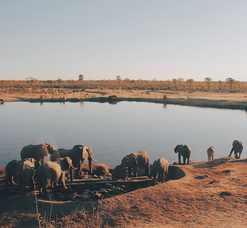 Lake Manyara National park