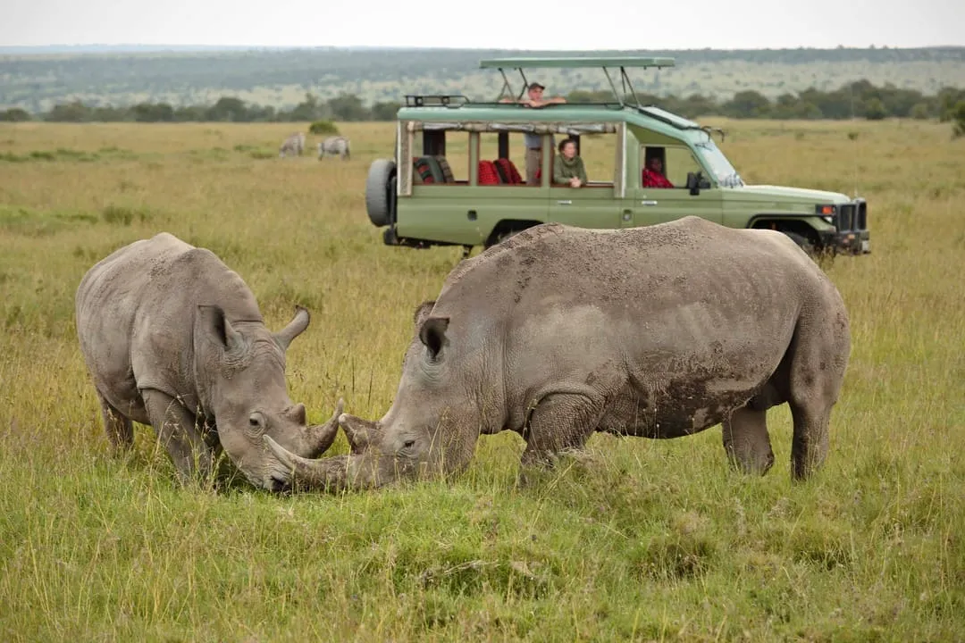 African Guided tours and travel experiences for travelers departing from Central Africa