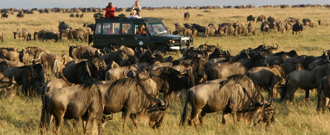 January 2026: Kenya Safari Holiday Group Joining Scheduled Departure Dates & Prices