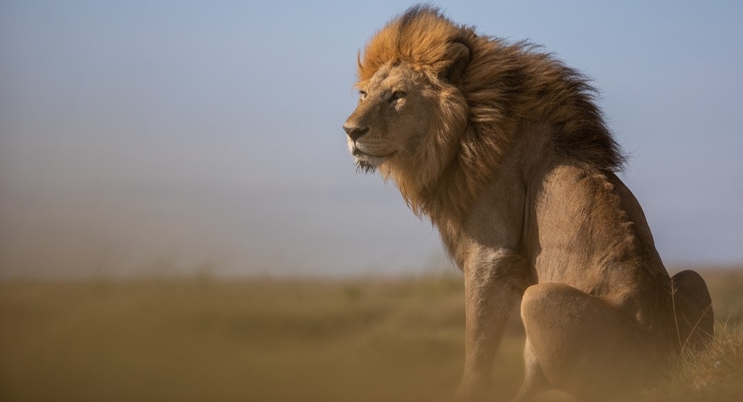 January 2026: Kenya Safari Trips Group Joining Scheduled Departure Dates & Prices