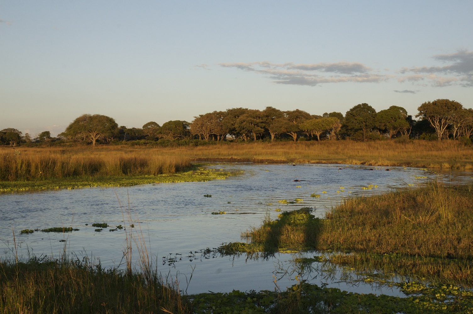 Katavi National Park Safari in Southern Zone of Tanzania