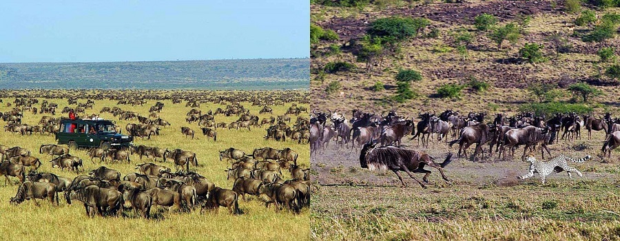 Discover the best Kenya Camping Private Safari