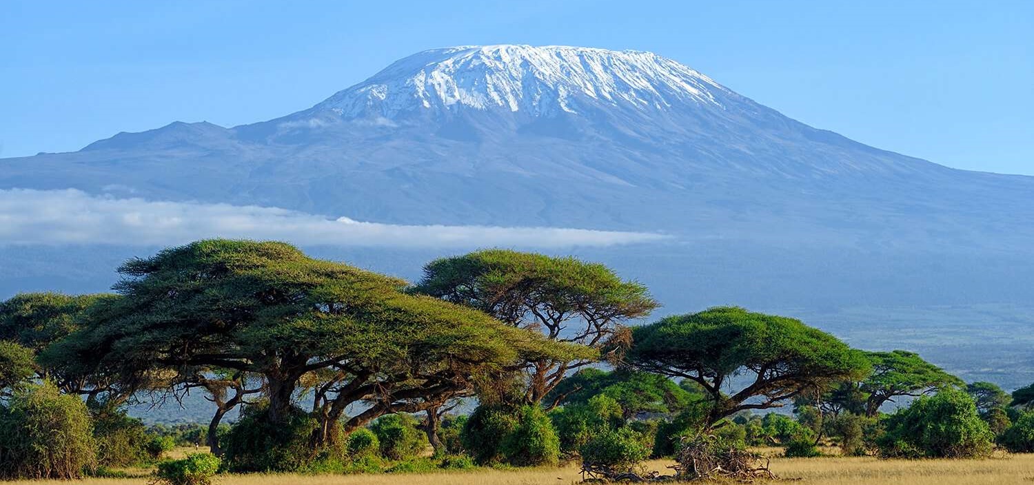 The Best Kenya Safari 2025