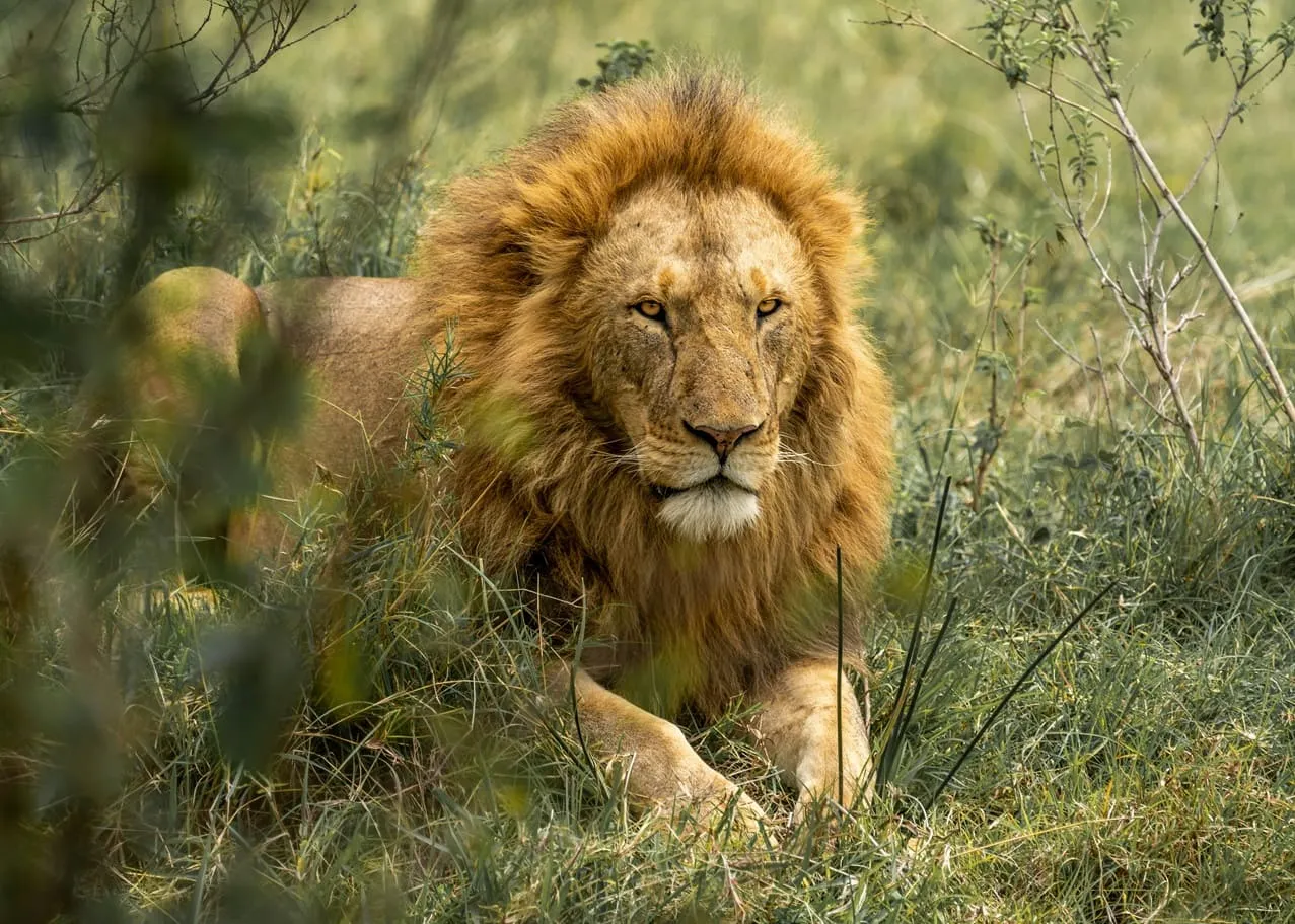 Kenya tours