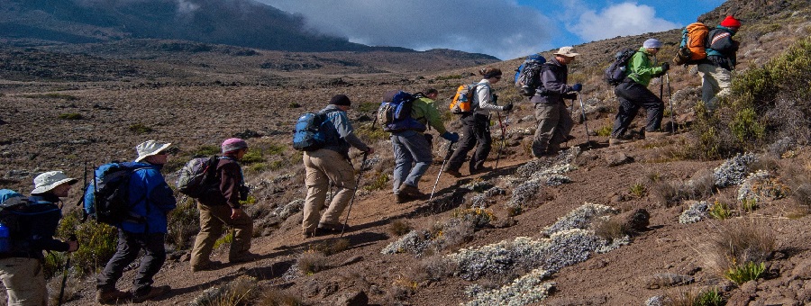 7 days 6 nights Machame route Kilimanjaro joining groups
