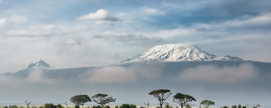1 day hike Kilimanjaro from Arusha/Moshi to Mandara hut
