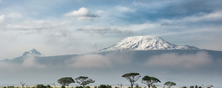 Kilimanjaro day hike to Mandara Hut on Marangu route | 1 day hike Kilimanjaro trip to Mandara Hut on Marangu route from Arusha/Moshi